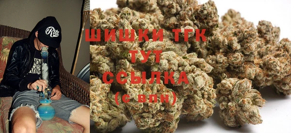 2c-b Надым