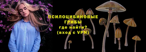 мдпв Нефтекумск