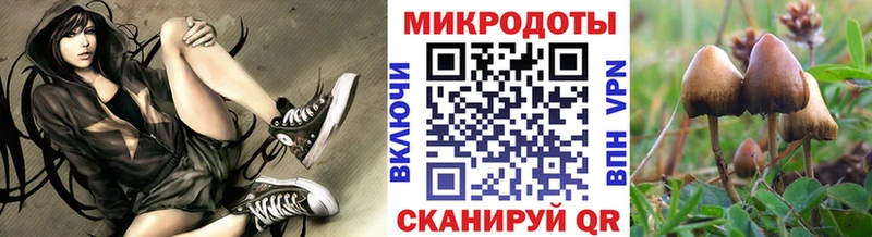 omg онион  где можно купить   Суоярви  Псилоцибиновые грибы Magic Shrooms 